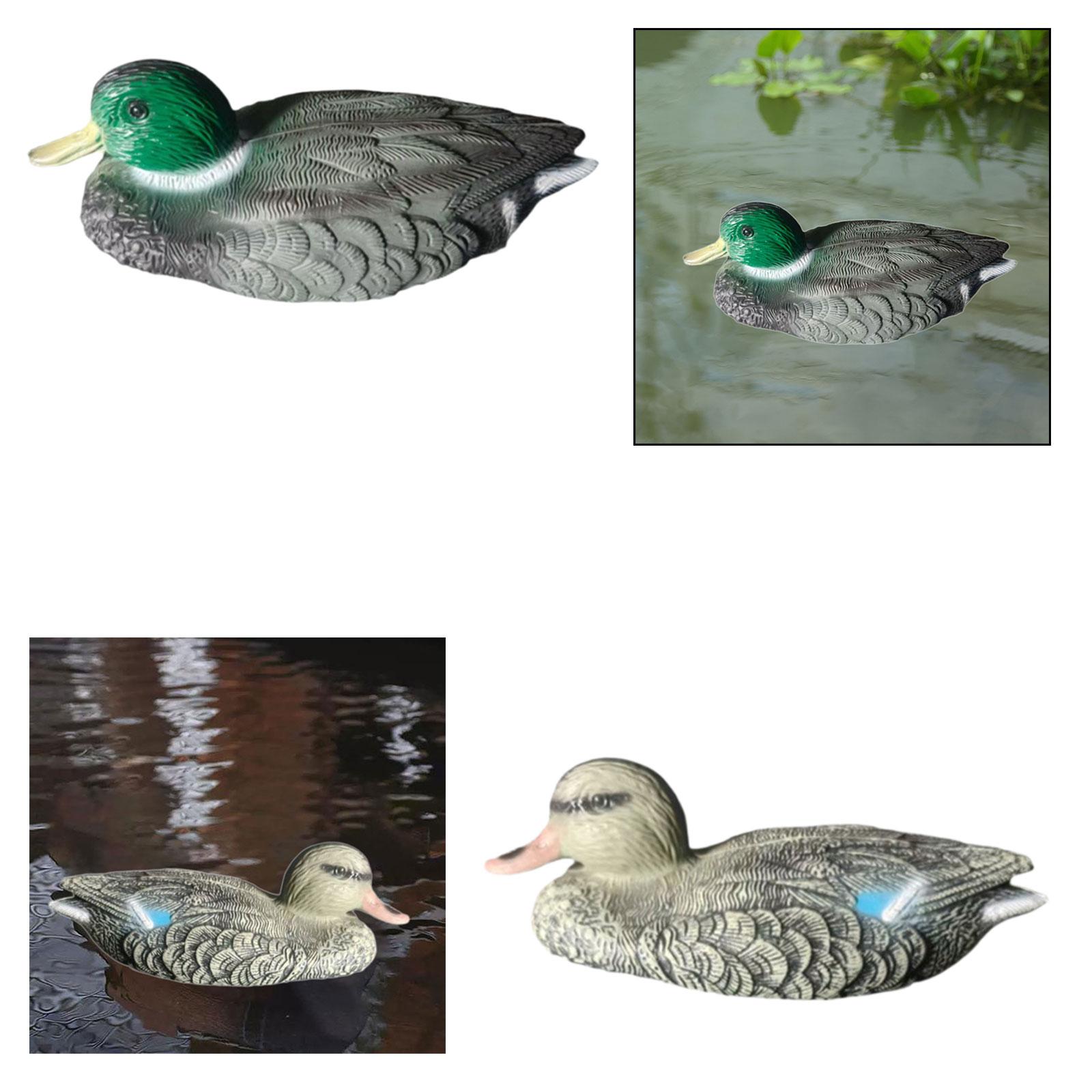 Floating Duck Decoy Realistic  - Outdoor Hunting Place 评论和价格