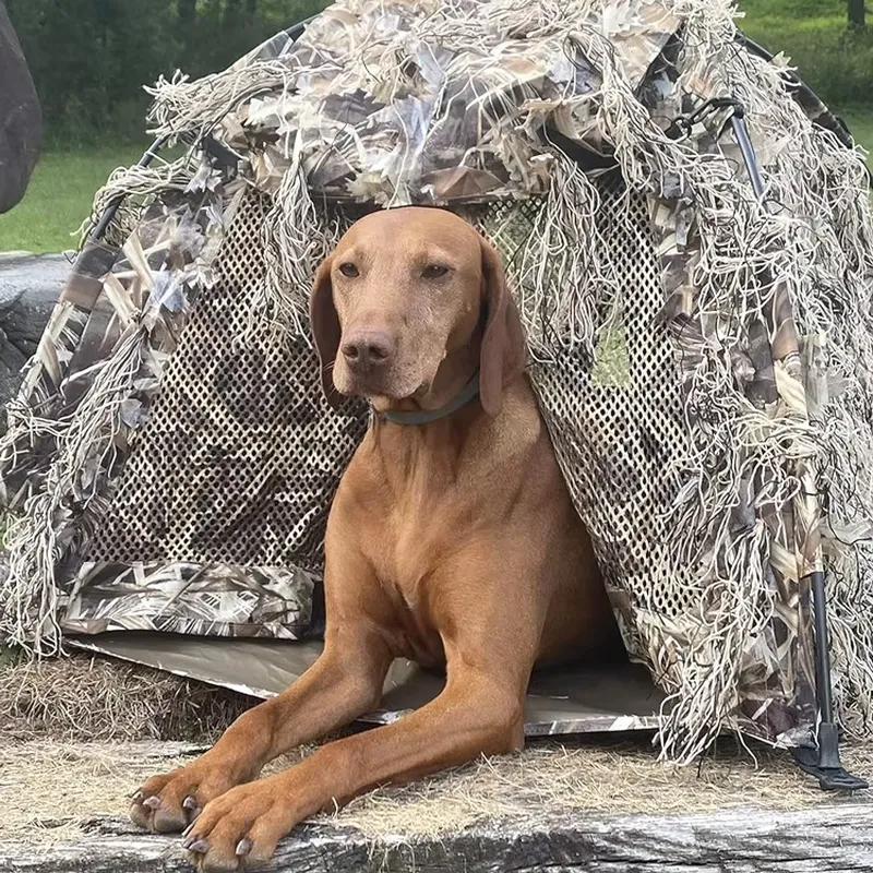 for Lightweight Camo Waterproo - Outdoor Hunting Blinds 评论和价格